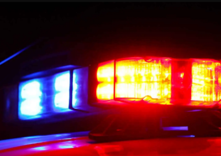 Nena Peduzzi Campton Hills IL Death Obituary - Woman Found Dead in Chicago West Suburbs