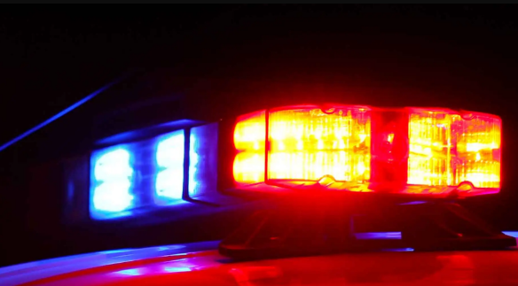 Nena Peduzzi Campton Hills IL Death Obituary - Woman Found Dead in Chicago West Suburbs